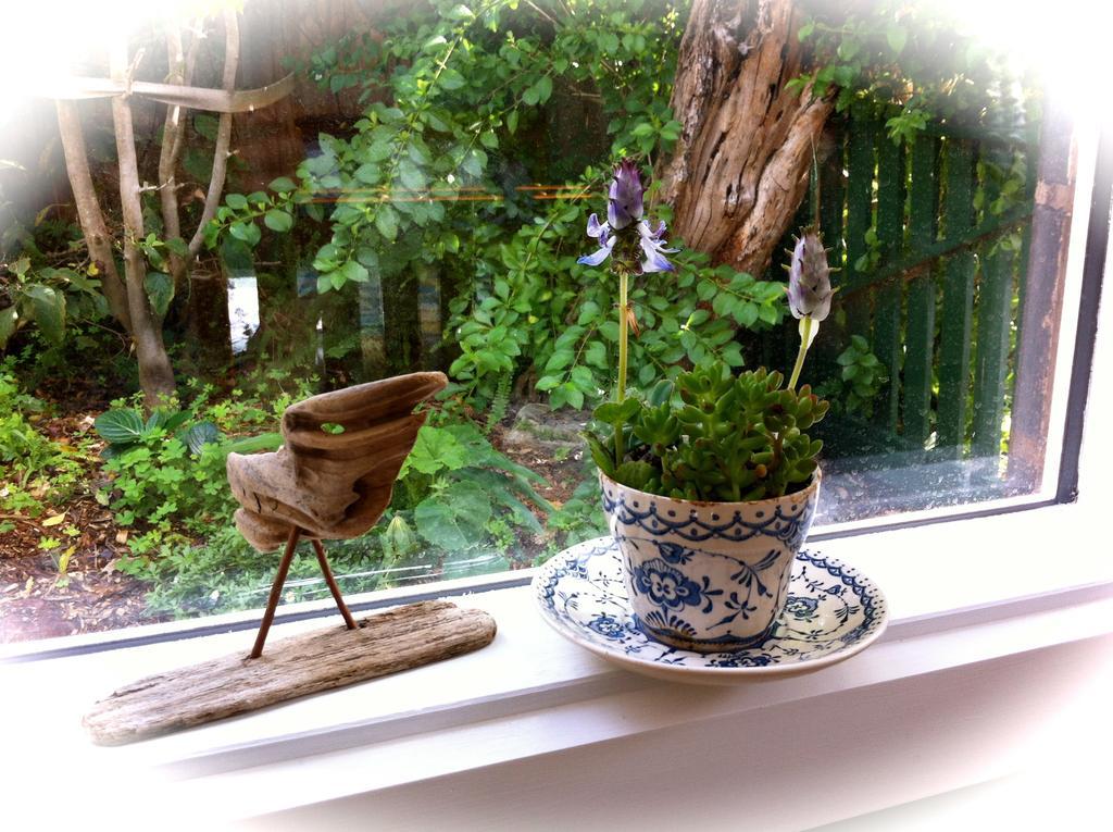 Sea Salt Bnb Rosebud Pokoj fotografie